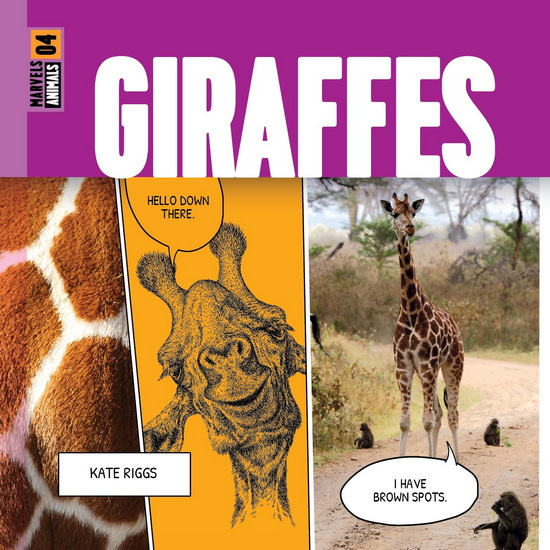 Giraffes - KATE RIGGS