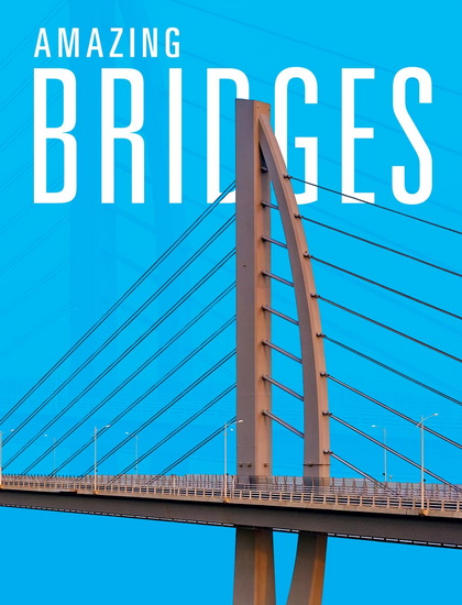 Amazing Bridges - JOANNE MATTERN