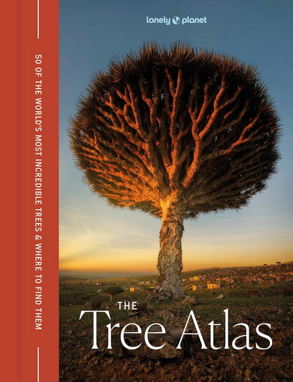 The Tree Atlas 1 - COLLECTIF