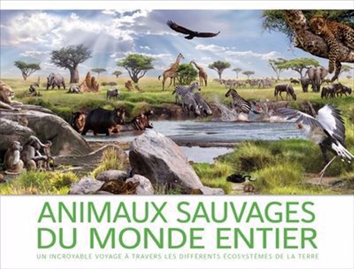 Animaux sauvages du monde entier : un incroyable voyage à travers les différents écosystèmes de la Terre - JOHN WOODWARD