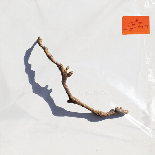 I Inside the Old Year Dying (Vinyle) - PJ HARVEY