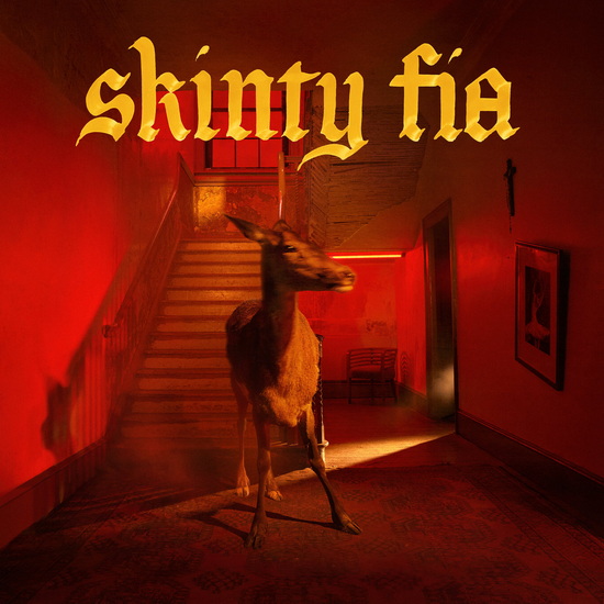 Skinty Fia - FONTAINES D.C.