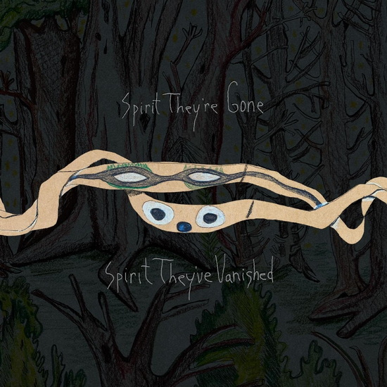 Spirit They're Gone, Spirit They've Vanished (Remastered 2023) (Vinyle) - ANIMAL COLLECTIVE