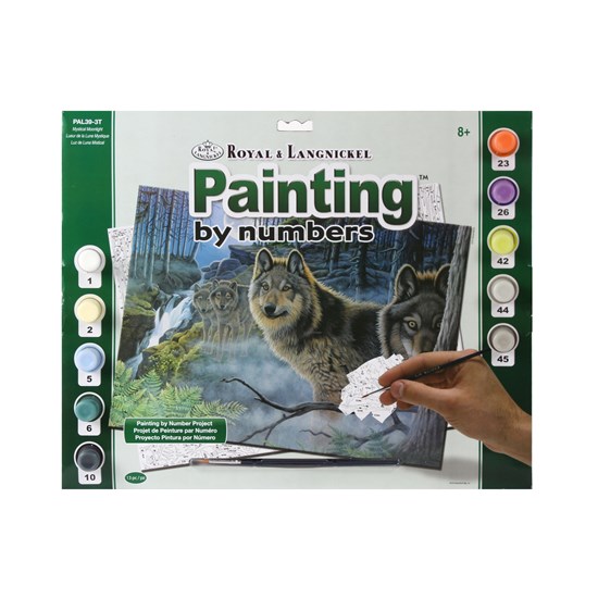 Peinture à numéro Claire de lune Mystique