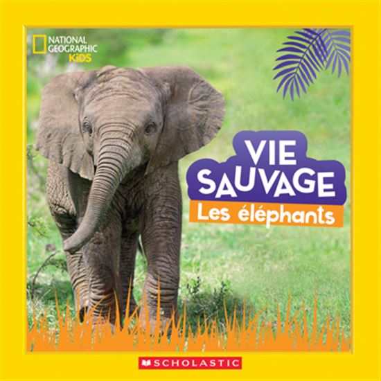 Vie sauvage : les éléphants - MARGIE MARKARIAN