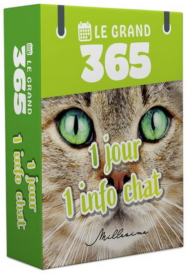 Le Grand 365 jours pour les amoureux des chats - COLLECTIF