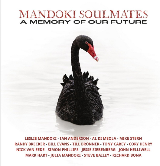 A Memory Of Our Future (Vinyle) - MANDOKI SOULMATES