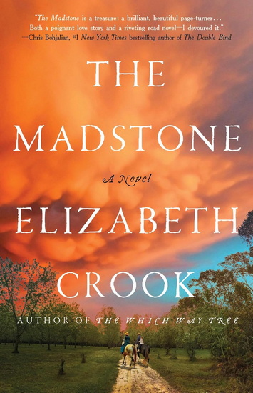 The Madstone - ELIZABETH CROOK