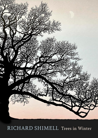 Trees in Winter - RICHARD SHIMELL