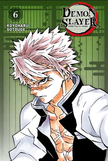 Demon slayer : Kimetsu no yaiba #06 Éd. Pilier - KOYOHARU GOTOUGE