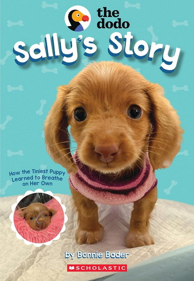 Sally&#39;s Story (The Dodo) - BONNIE BADER