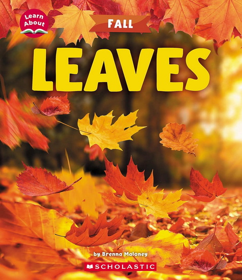 Leaves (Learn About: Fall) - BRENNA MALONEY