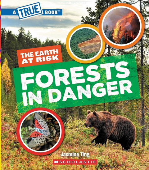 Forests in Danger (A True Book: The Earth at Risk) - JASMINE TING