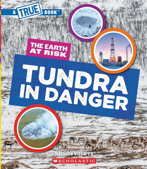 Tundra in Danger (A True Book: The Earth at Risk) - NATASHA VIZCARRA