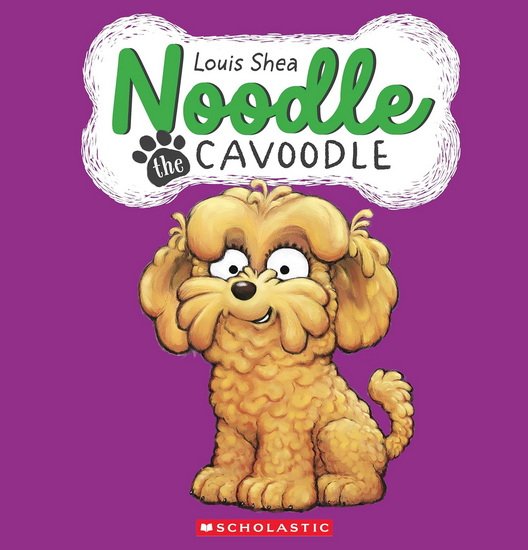 Noodle the Cavoodle - LOUIS SHEA