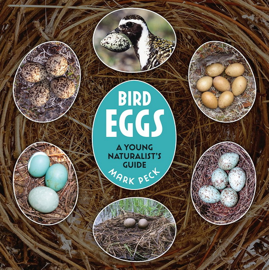 Bird Eggs: A Young Naturalist&#39;s Guide - MARK PECK