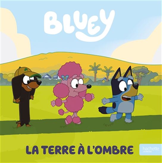 La Terre à l&#39;ombre - COLLECTIF