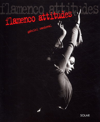 Flamenco attitudes - GABRIEL SANDOVAL