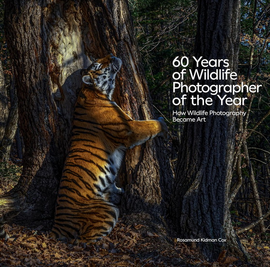 60 Years of Wildlife Photographer of the Year: How Wildlife Photography Became Art - ROSAMUND KIDMAN COX