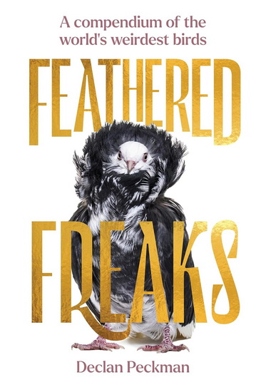 Feathered Freaks: A Compendium of the World&#39;s Weirdest Birds - DECLAN PECKMAN