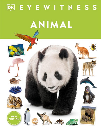 Eyewitness Animal - COLLECTIF