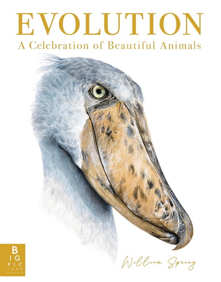 Evolution: A Celebration of Beautiful Animals - WILLIAM SPRING