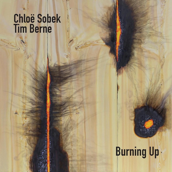 Burning Up - TIM CHLOË BERNE SOBEK