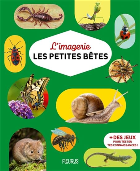 L&#39;Imagerie des petites bêtes N. éd. - Collectif