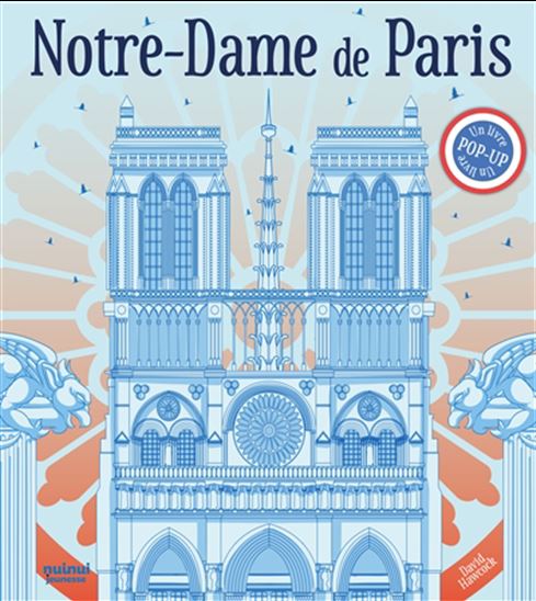 Notre-Dame de Paris : histoire, art et grands évènements, de la construction à aujourd&#39;hui N. éd. - DAVID HAWCOCK