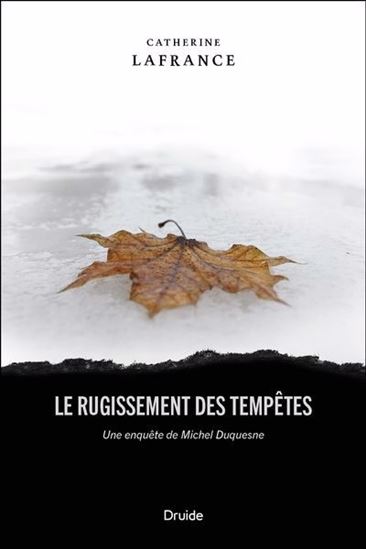 Le Rugissement des tempêtes : une enquête de Michel Duquesne - CATHERINE LAFRANCE