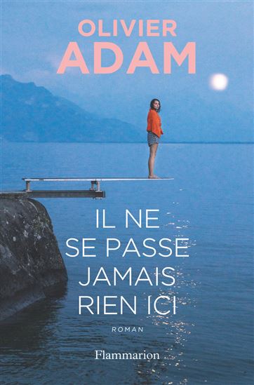 Il ne se passe jamais rien ici - OLIVIER ADAM