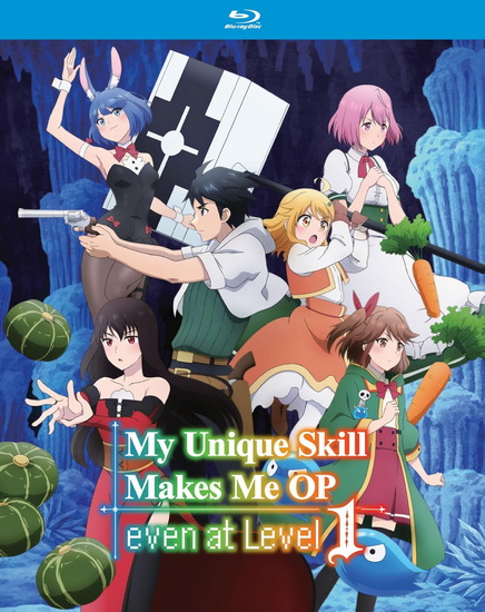 My Unique Skill Makes Me OP even at Level 1 - The Complete Season (Blu-ray)