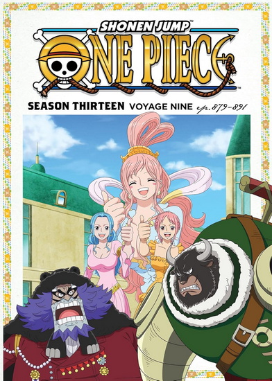 One Piece: S13 Voyage 9 (BD/DVD Combo)