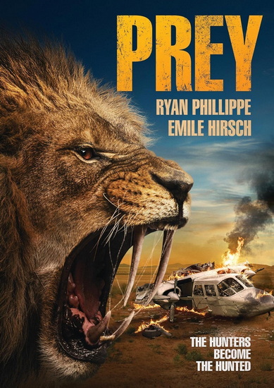 Prey (2024) (DVD)
