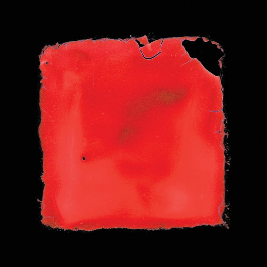 Last Chance To See - SALVIA PALTH