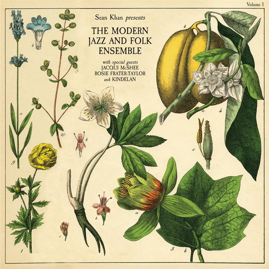 Sean Khan Presents The Modern Folk And Jazz Ensemble - MODERN FOLK AND JAZZ ENSEMBLE