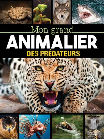 Mon grand animalier des prédateurs - KEVIN DUCLOS