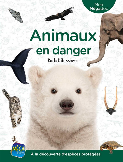 Animaux en danger - RACHEL HUSSHERR