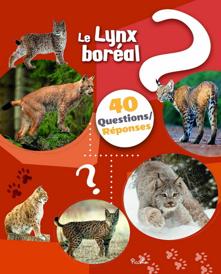 Le Lynx - COLLECTIF