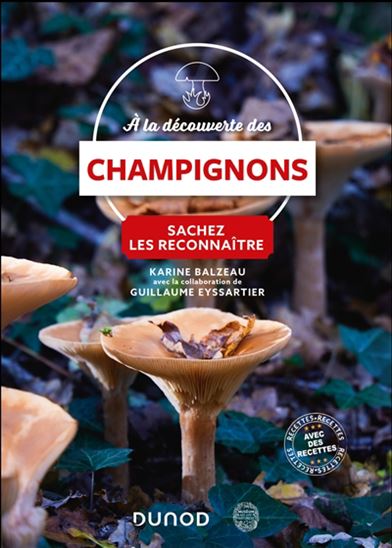 À la découverte des champignons : sachez les reconnaître - KARINE BALZEAU - GUILLAUME EYSSARTIER