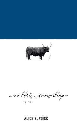 Ox Lost, Snow Deep - ALICE BURDICK