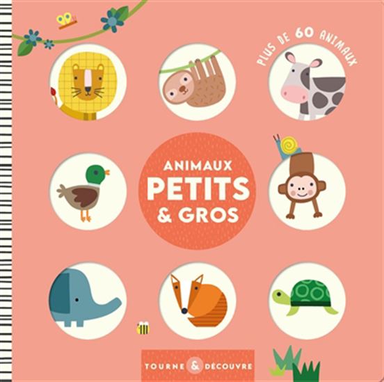 Animaux petits et gros : plus de 60 animaux - REBECCA WEERASEKERA - SALLY PAYNE