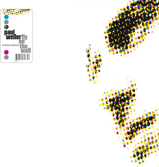 Fly On The Wall: B-sides & Rarities 1991 - 2001 (3 Vinyles) - PAUL WELLER