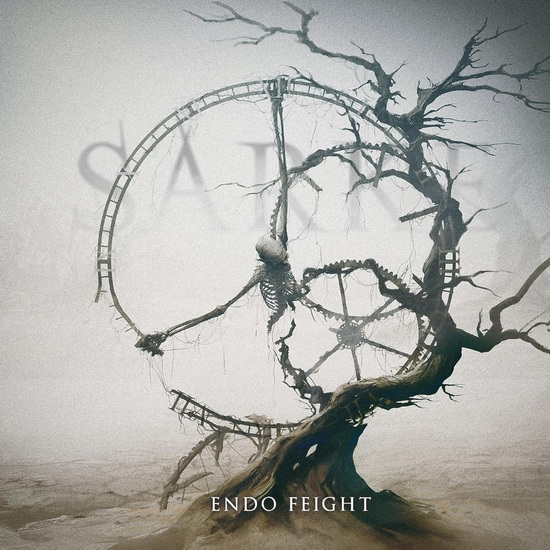 Endo Feight (Vinyle - Transparent Ltd. Ed) - SARKE