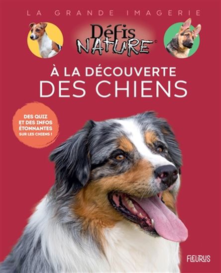 À la découverte des chiens - MARIE-ALICE TROCHET-DESMAZIERS
