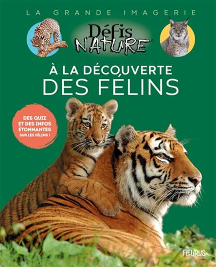 À la découverte des félins - ANOUK JOURNO-DUREY