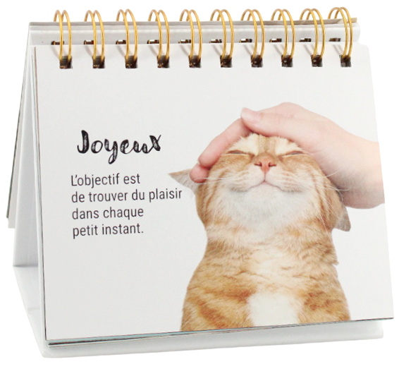 Affichettes chats de table