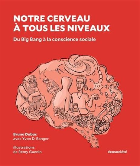 Notre cerveau à tous les niveaux : du Big Bang à la conscience sociale - BRUNO DUBUC & AL