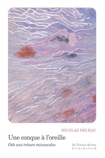 Une conque à l&#39;oreille : ode aux trésors minuscules - NICOLAS DELEAU - CLAIRE MALARY