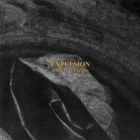 Bitter Twist Of Fate, A - EXPULSION